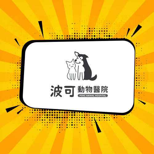 內科│貓黃疸